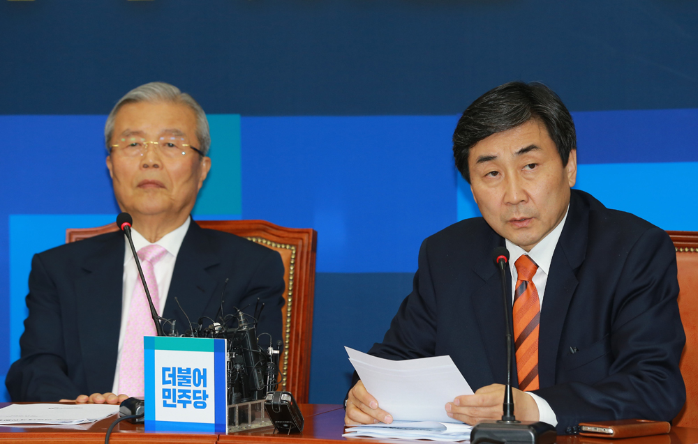 정치/국회/더민주당/더불어민주당/비상대책위원