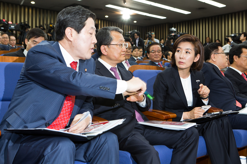 정치/새누리당/국회의원/국회의사당/2016원내대