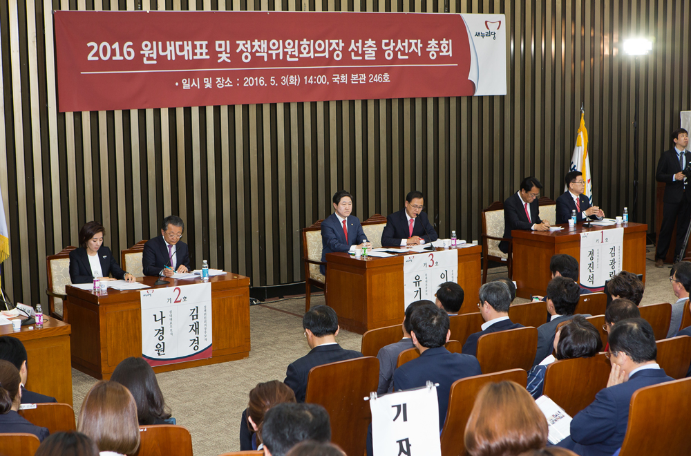 정치/새누리당/국회의원/국회의사당/2016원내대