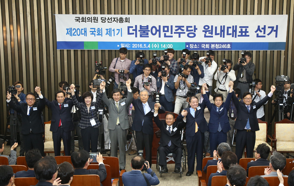 정치/국회/더민주당/더불어민주당/