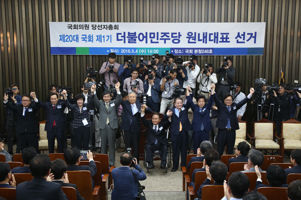 정치/국회/더민주당/더불어민주당/