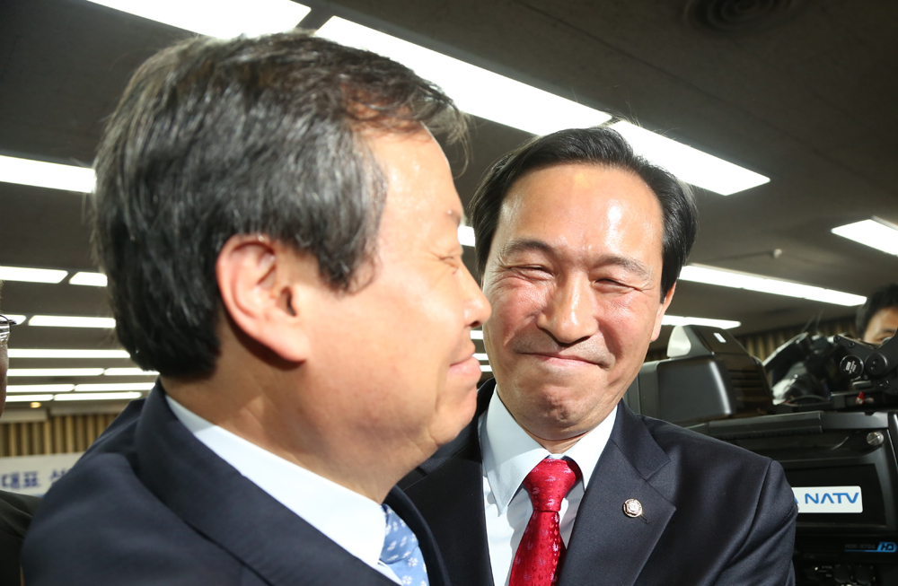 정치/국회/더민주당/더불어민주당/우상호