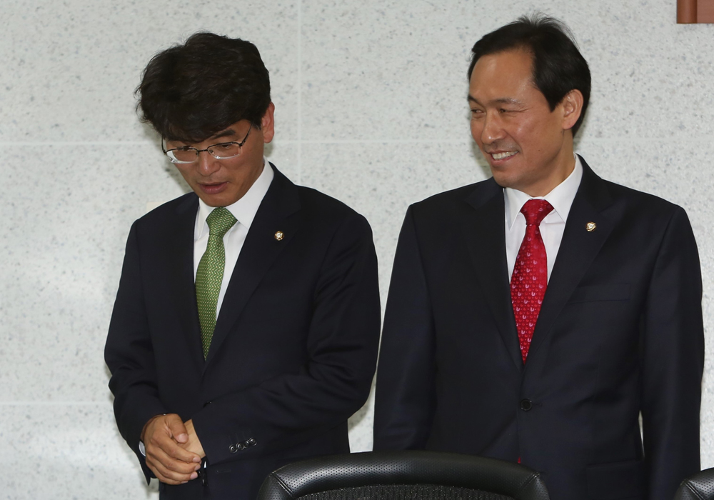 정치/국회/더민주당/더불어민주당/우상호원내대