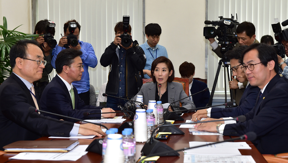 정치/국회/북한당대회/나경원/외교통일위원회/