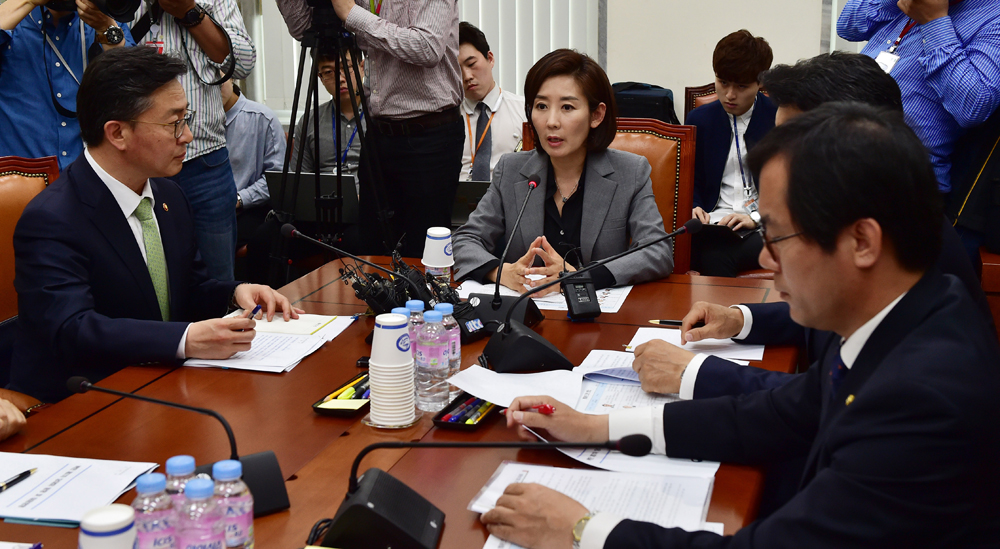 정치/국회/북한당대회/나경원/외교통일위원회/