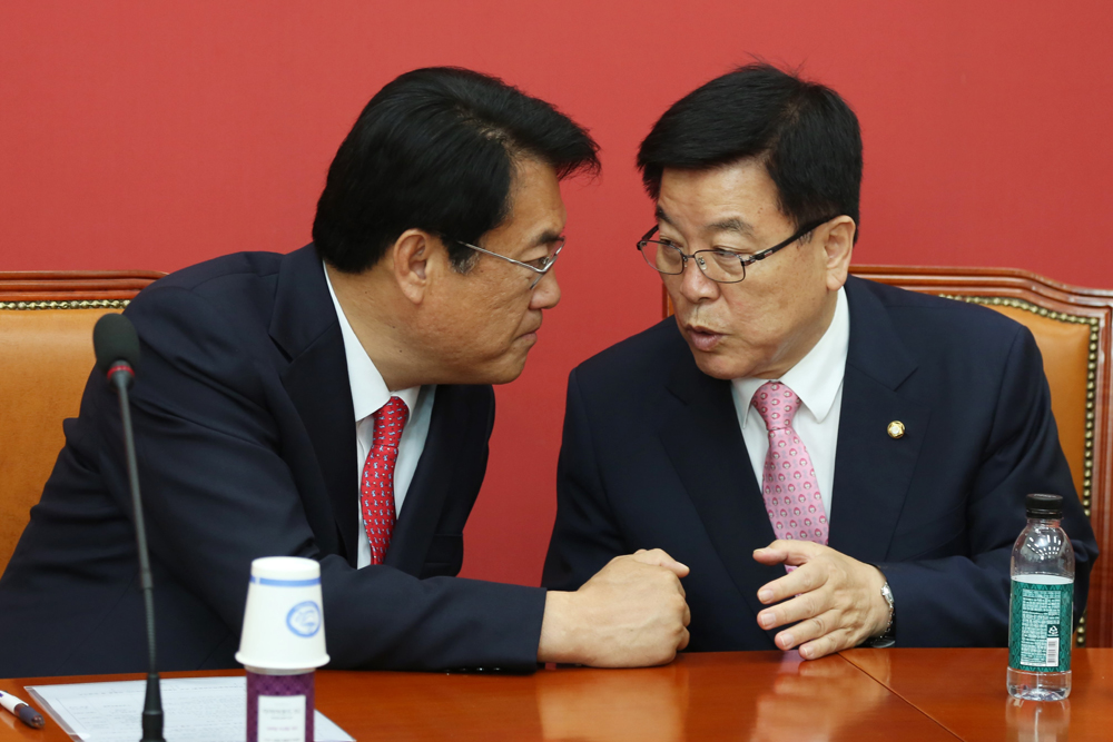 정치/국회/새누리당/정진석/연석회의