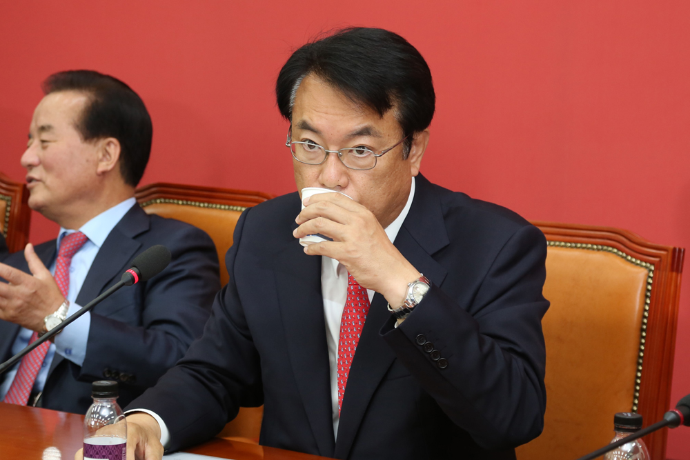 정치/국회/새누리당/정진석/연석회의