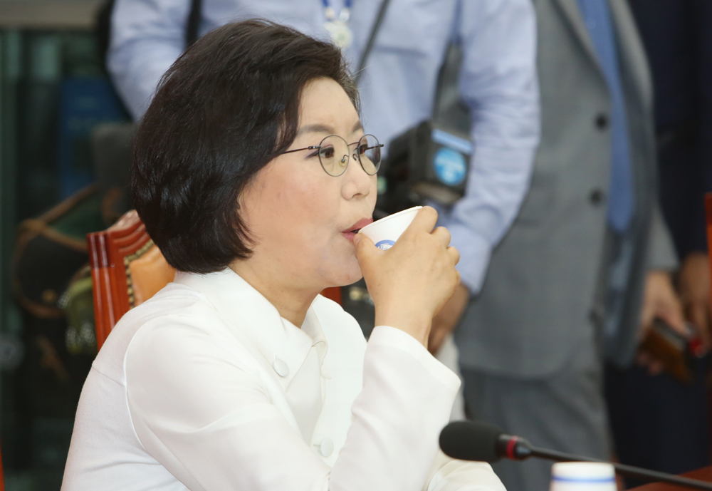 정치/국회/새누리당/비대위/정진석/김용태/이혜