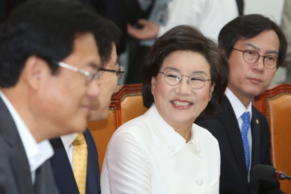 정치/국회/새누리당/비대위/정진석/김용태/이혜