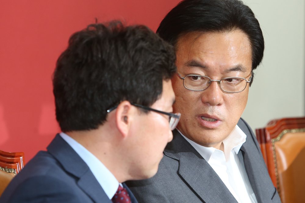 정치/국회/새누리당/비대위/정진석/김용태