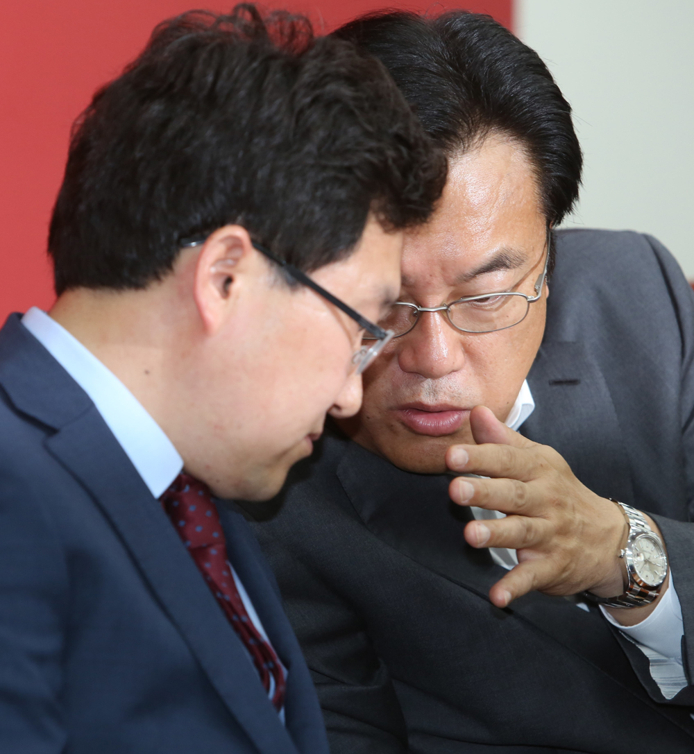 정치/국회/새누리당/비대위/정진석/김용태