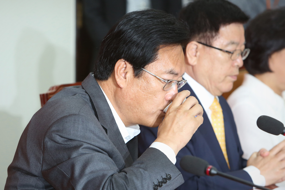 정치/국회/새누리당/비대위/정진석/김용태