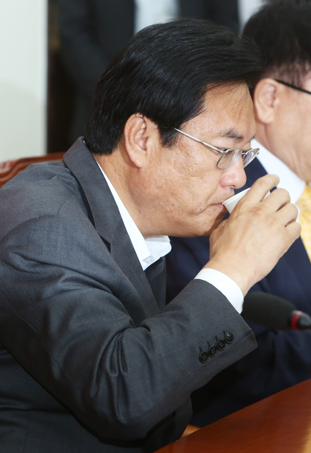 정치/국회/새누리당/비대위/정진석/김용태