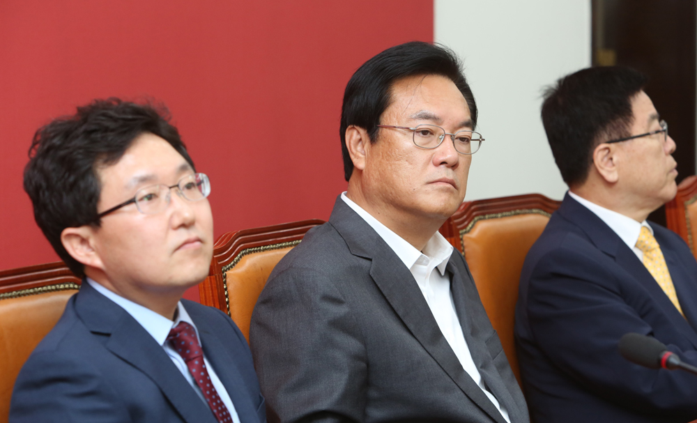 정치/국회/새누리당/비대위/정진석/김용태