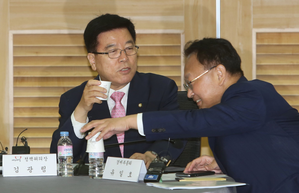 정치/국회/여야정/민생경제점검회의/정책위의장