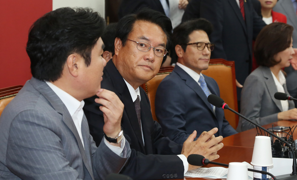 정치/국회/새누리당/중진의원/연석회의/정진석