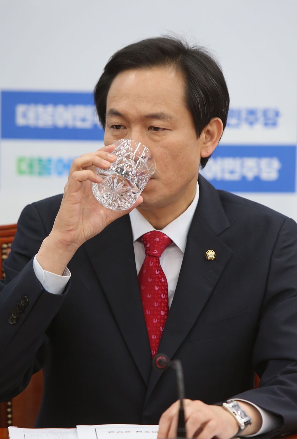 정치/국회/더민주당/정책조정회의/우상호