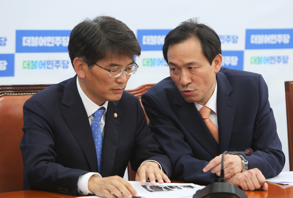 정치/국회/더불어민주당/더민주당/우상호/정책