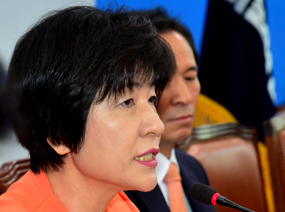 정치/국회/더민주당/더불어민주당/가계부채TF/