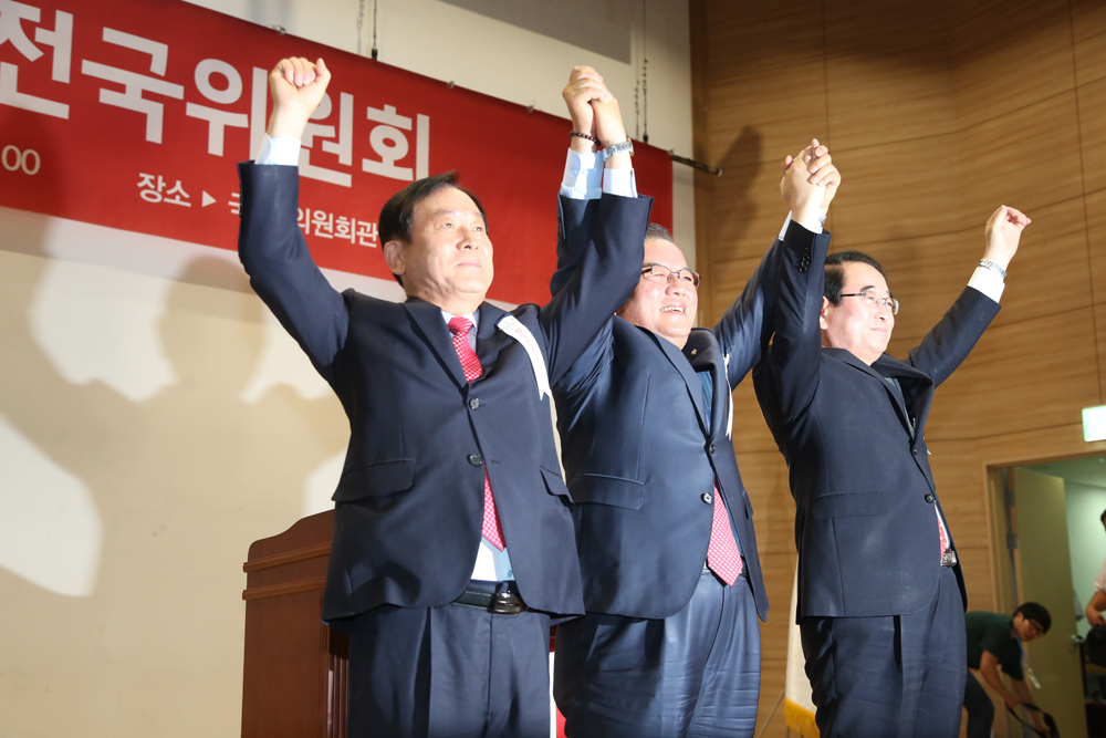 정치/국회/새누리당/전국위원회/김희옥/혁신비