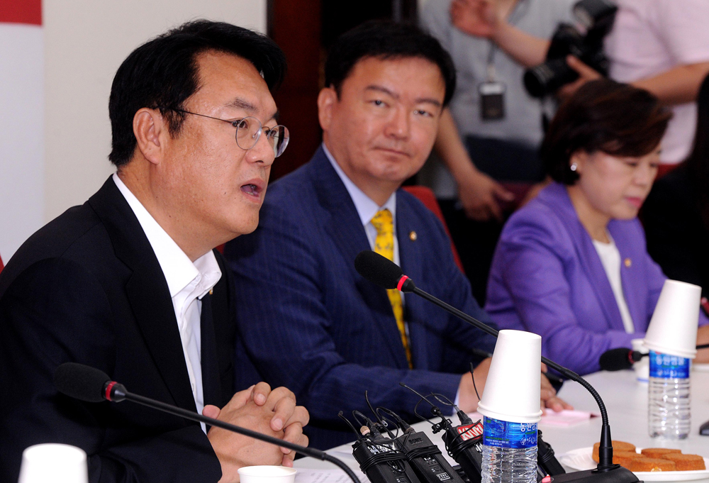 정치/국회/새누리당/정진석