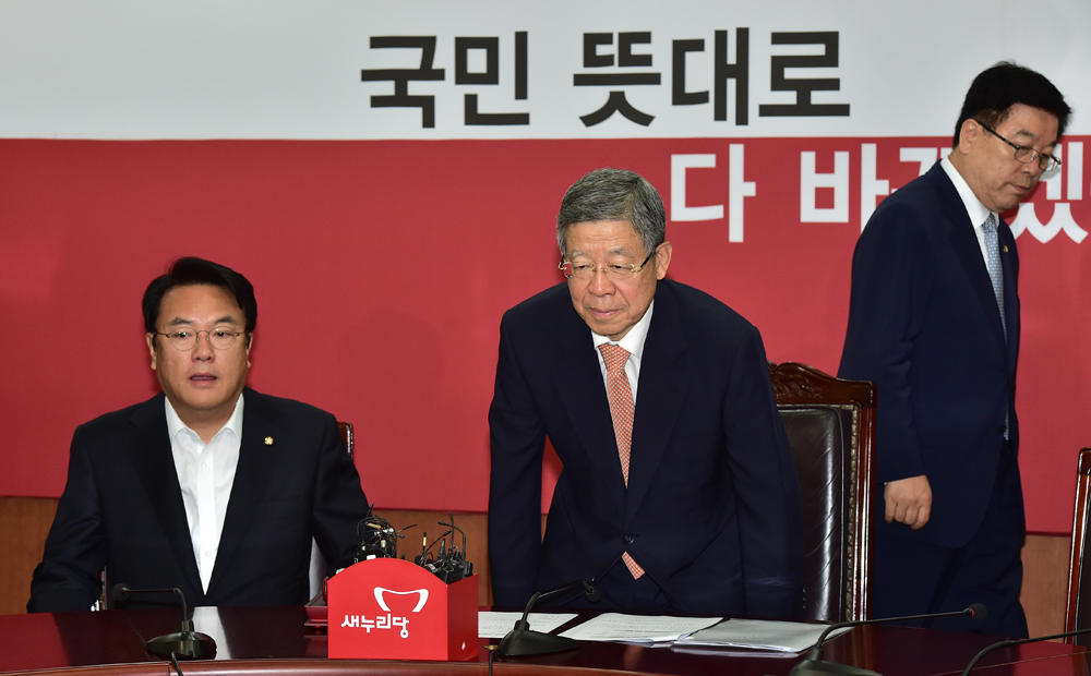 정치/새누리당/비상대책위원회의/김희옥/정진석