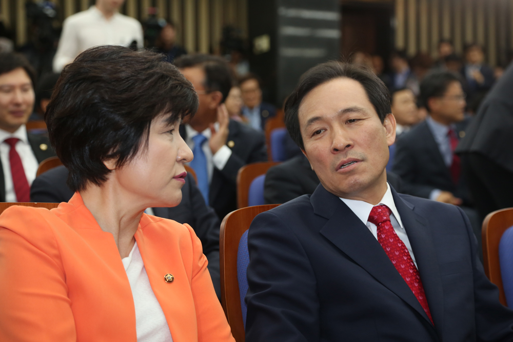 정치/국회/더민주당/더불어민주당/의원총회