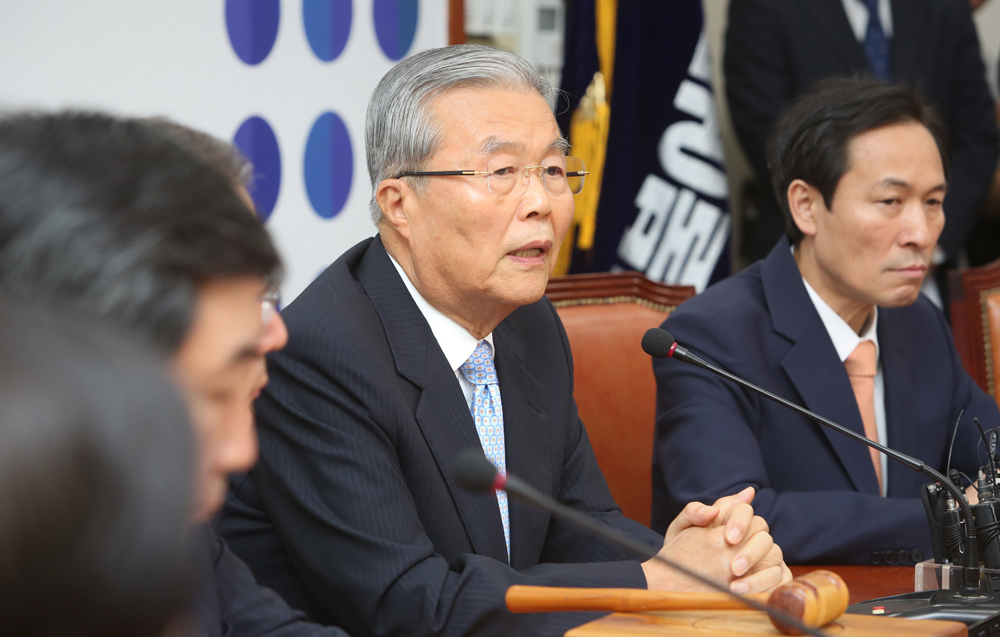 정치/국회/더불어민주당/더민주당/비대위