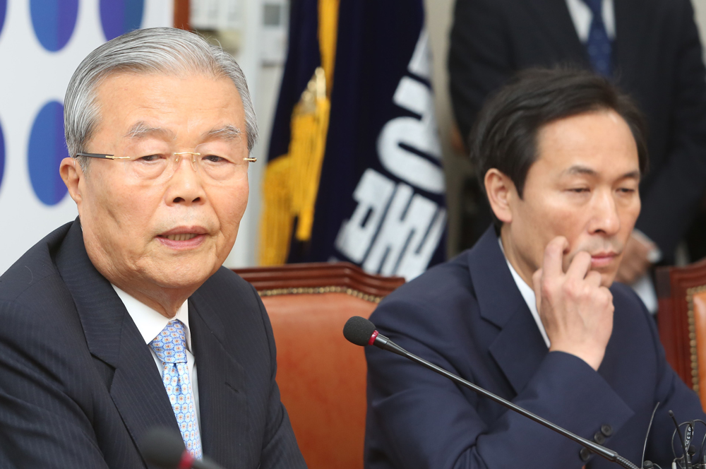 정치/국회/더불어민주당/더민주당/비대위