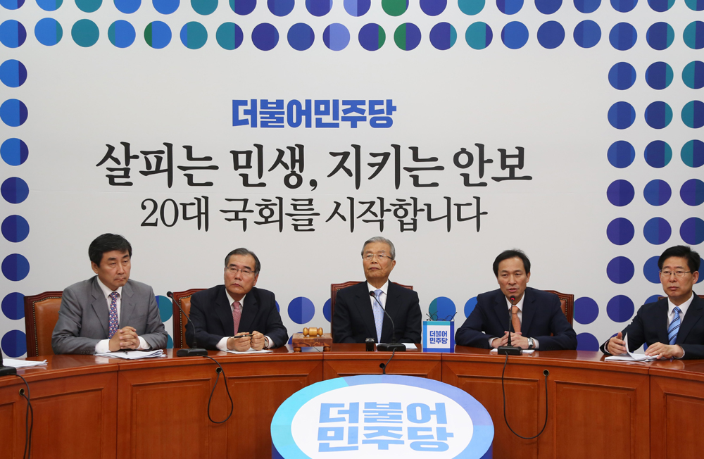 정치/국회/더불어민주당/더민주당/비대위/우상