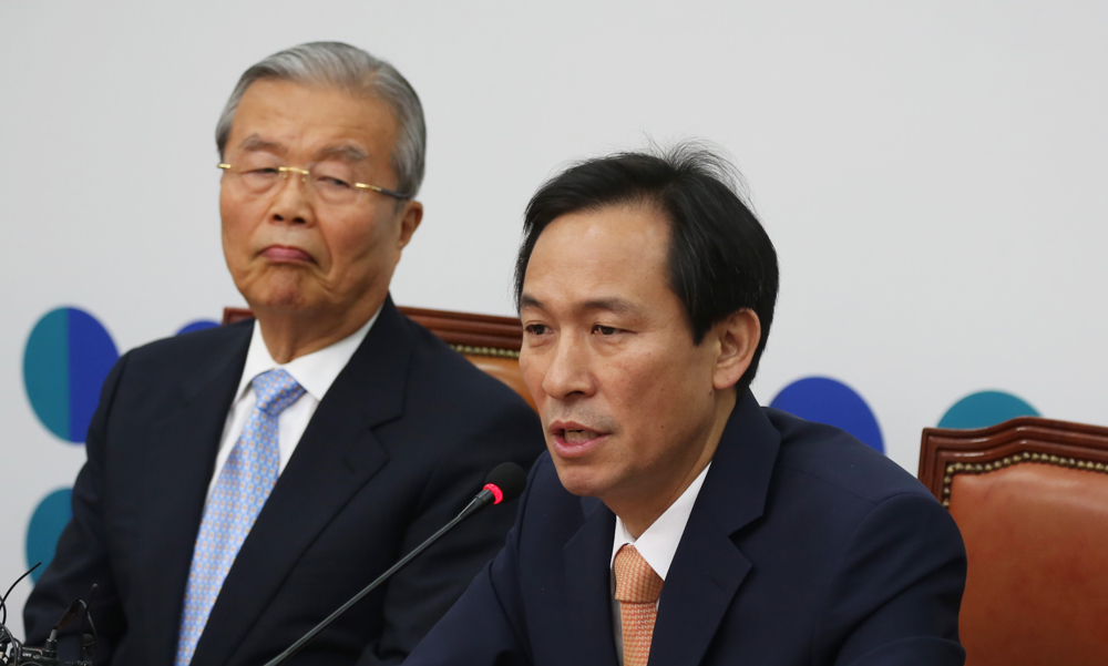 정치/국회/더불어민주당/더민주당/비대위/우상