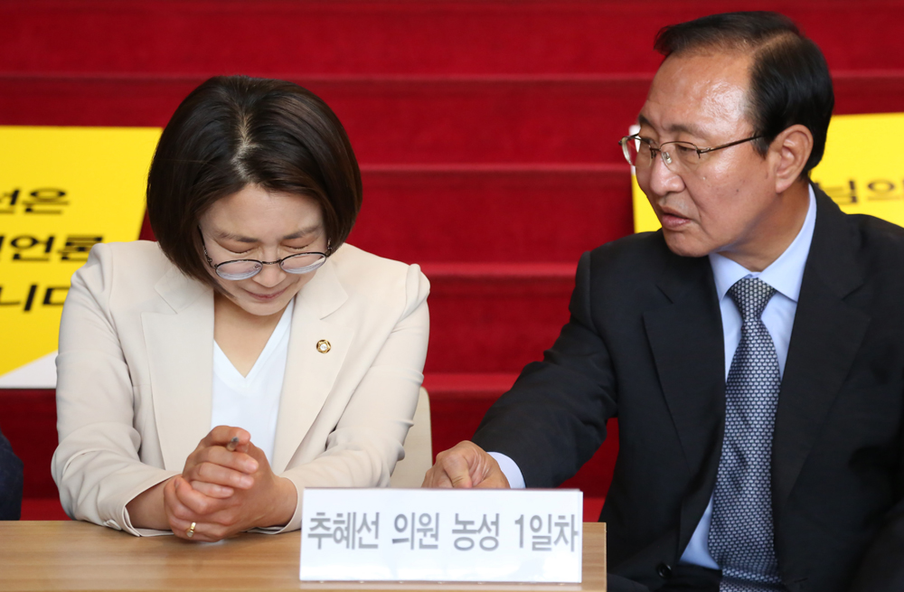 정치/국회/정의당/추혜선/상임위원회배정