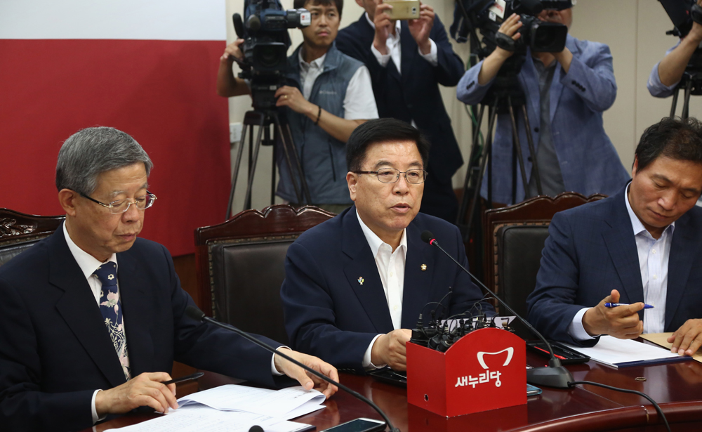 정치/국회/새누리당/혁신비상대책위원회/김광림