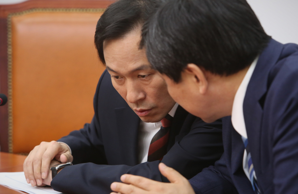 정치/국회/더민주당/더불어민주당/우상호