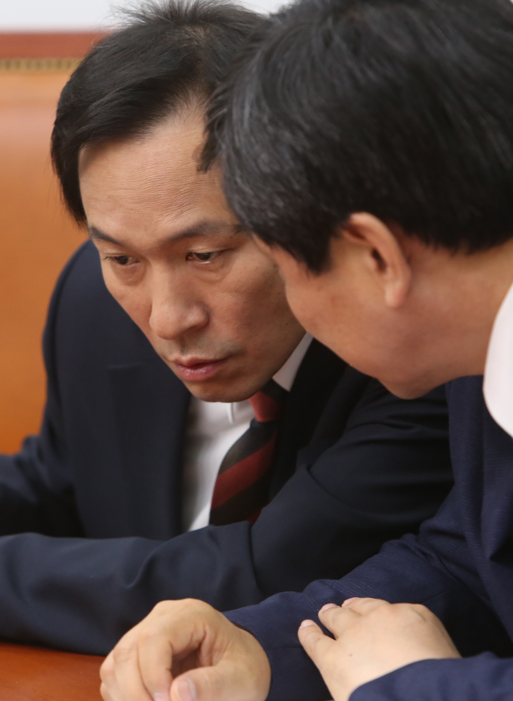 정치/국회/더민주당/더불어민주당/우상호