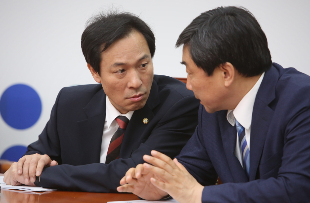 정치/국회/더민주당/더불어민주당/우상호