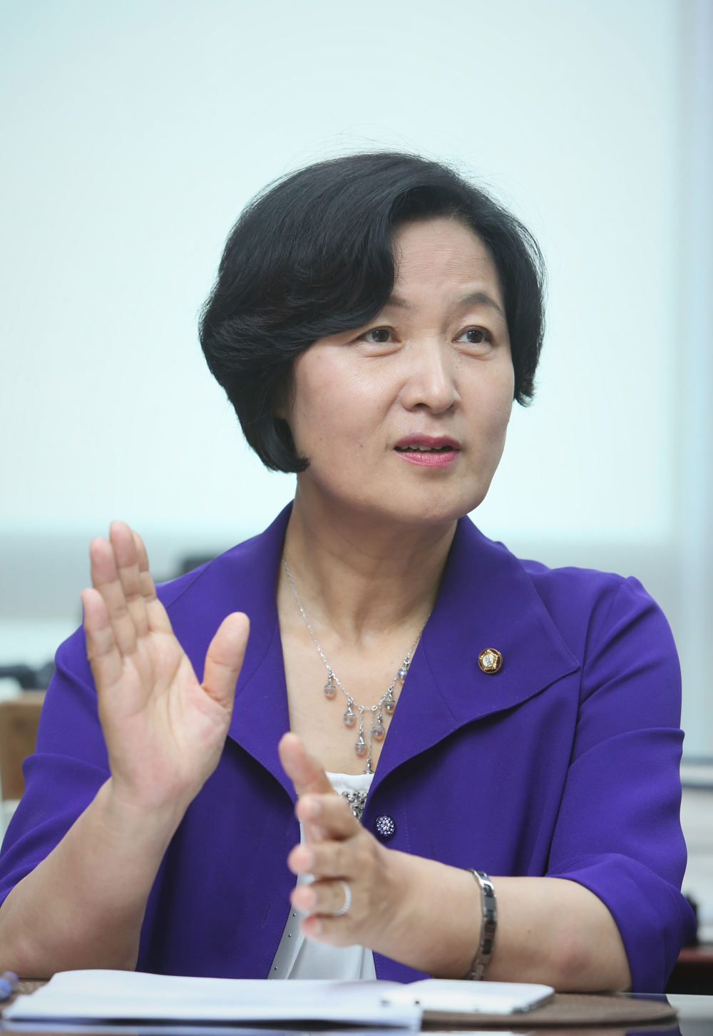 정치/국회/더민주당/더불어민주당/추미애