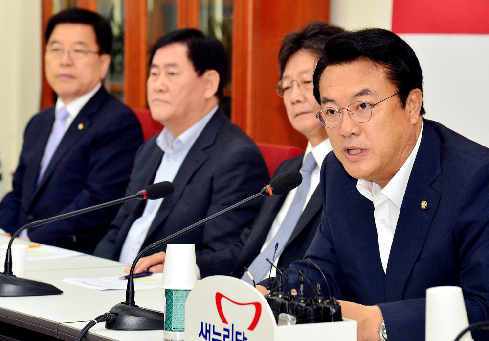 정치/국회/새누리당/중진의원/신공항/