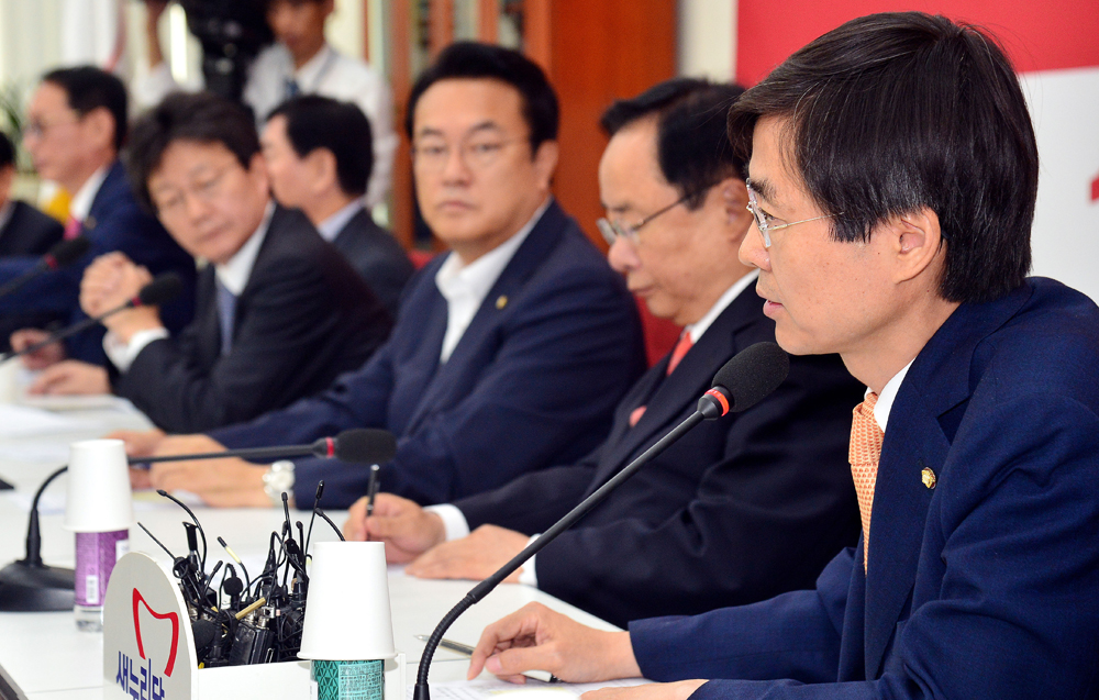 정치/국회/새누리당/중진의원/신공항/