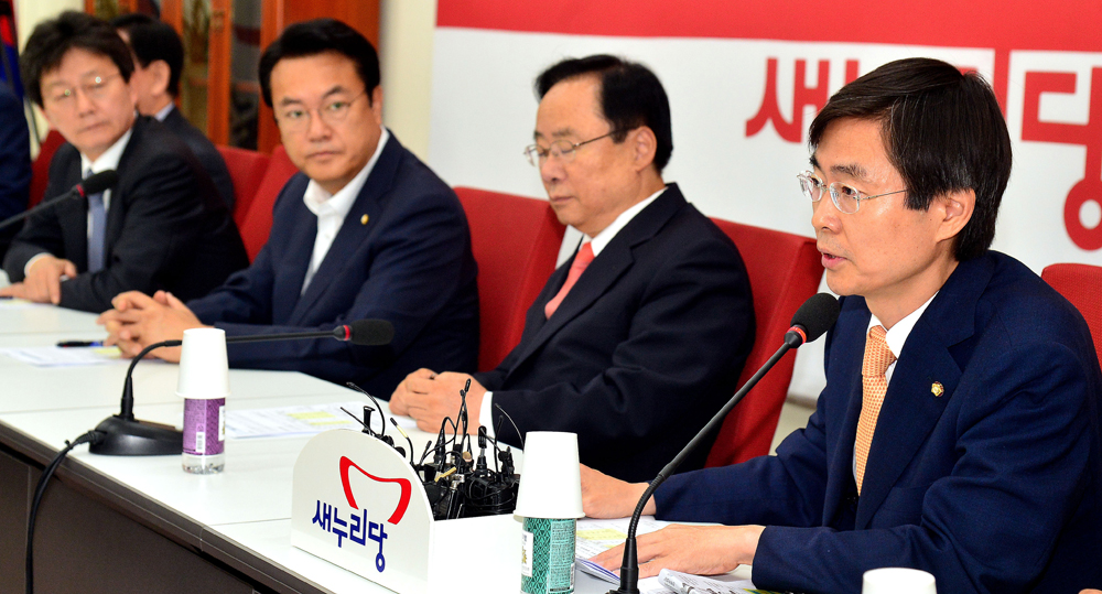 정치/국회/새누리당/중진의원/신공항/