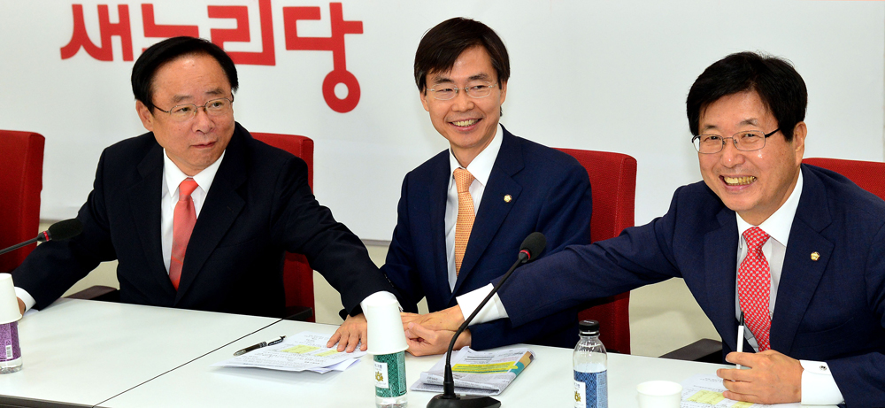 정치/국회/새누리당/중진의원/신공항/