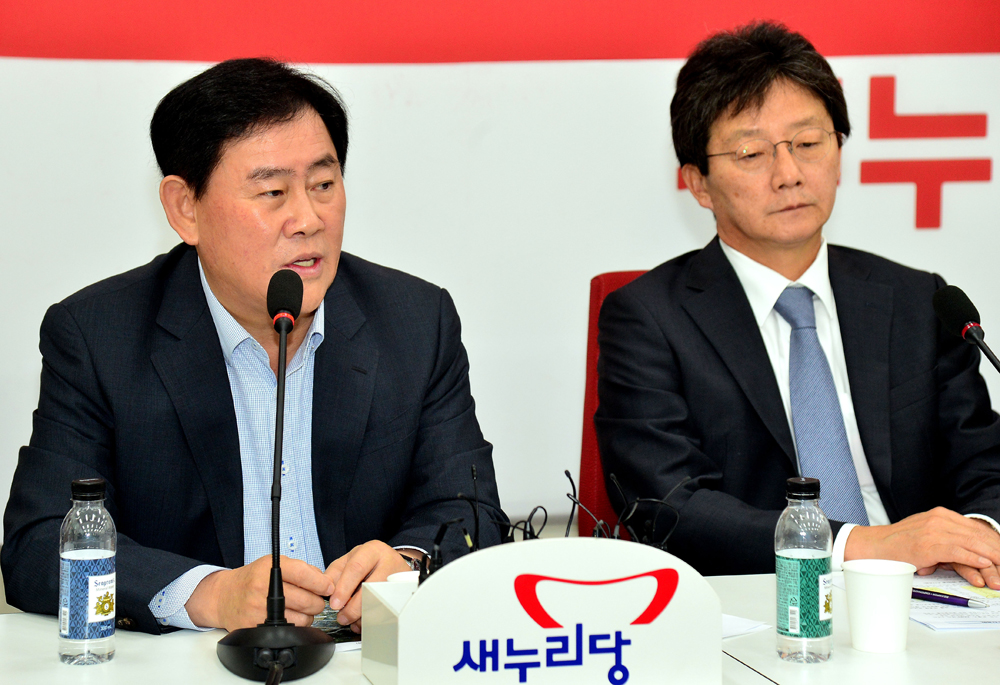 정치/국회/새누리당/중진의원/신공항/