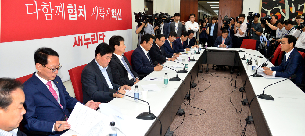 정치/국회/새누리당/중진의원/신공항/