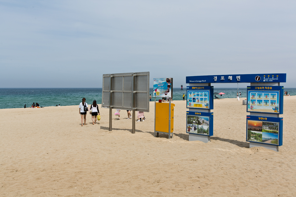 정치/새누리당/권성동/부동산/부동산매입/환경