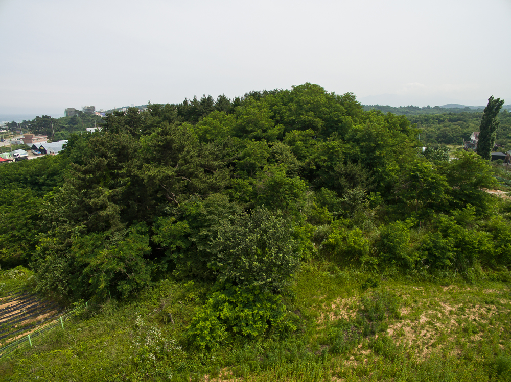 정치/새누리당/권성동/부동산/부동산매입/환경