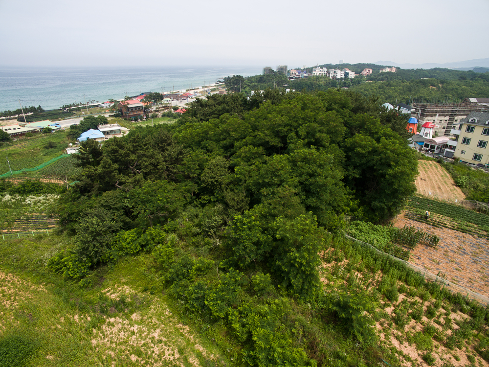 정치/새누리당/권성동/부동산/부동산매입/환경