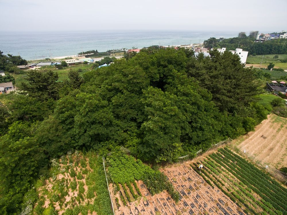 정치/새누리당/권성동/부동산/부동산매입/환경