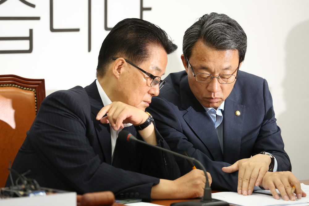 정치/국회/국민의당/비상대책위원회의/박지원