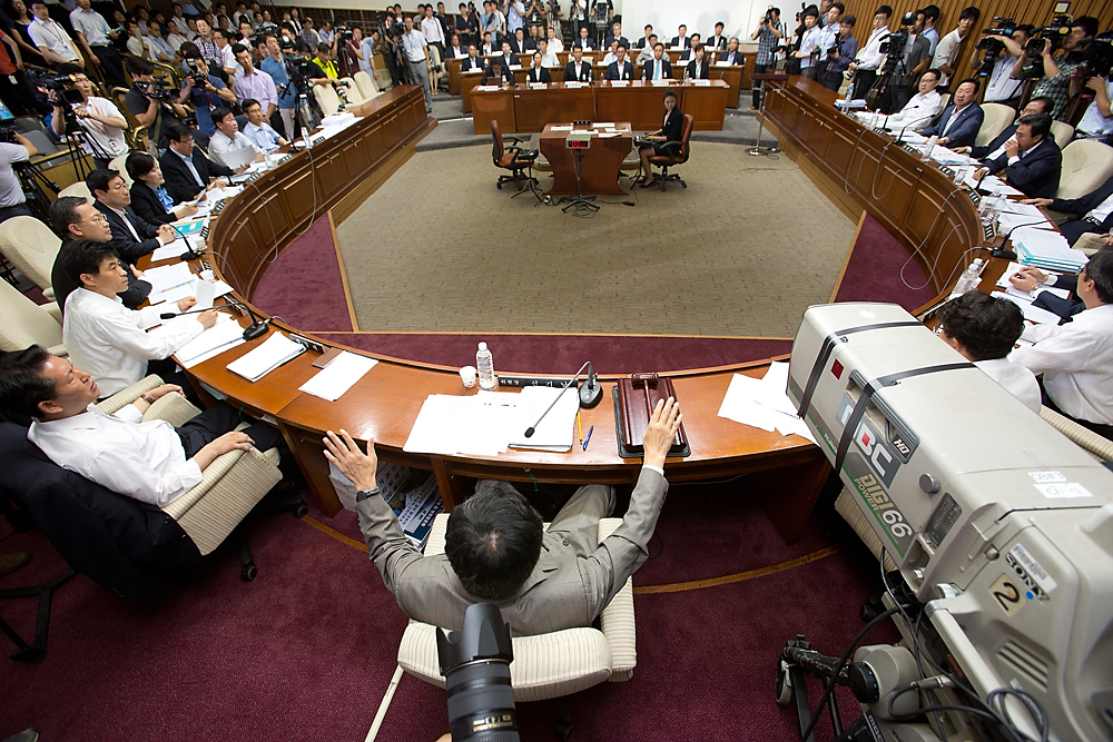 정치/국회/국정조사/댓글/국정원