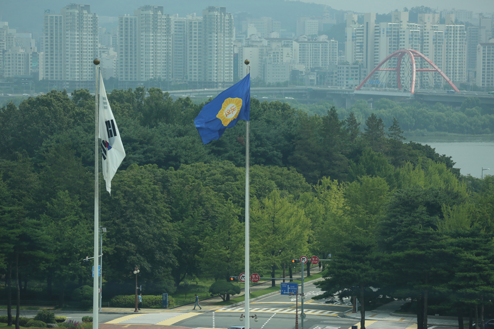 정치/국회/깃발